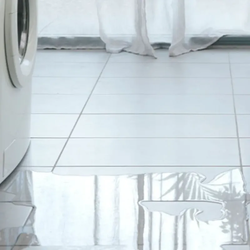 Appliance Leak Cleanup in Maine, WI