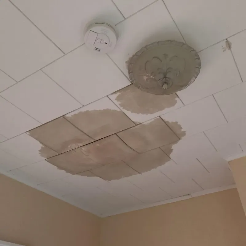Ceiling Water Damage Repair in Maine, WI