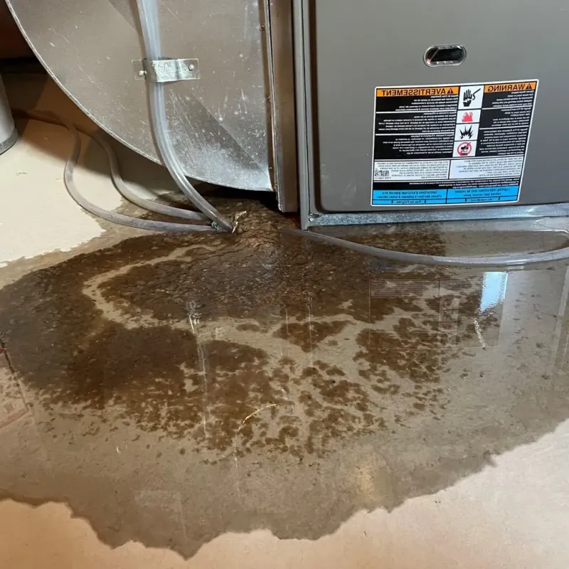 Pipe Burst and Leak Restoration in Maine, WI